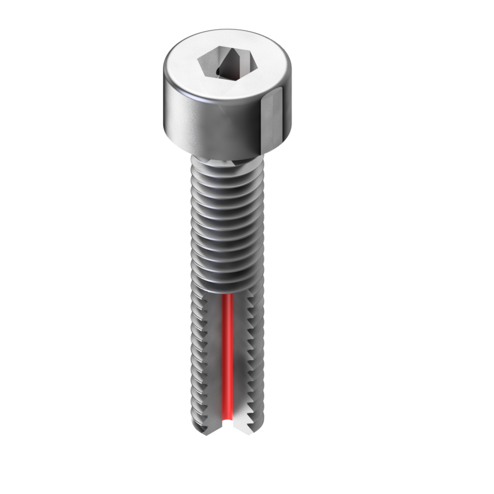 Vented screw A2 with head cap and hexagon socket / pack of 10