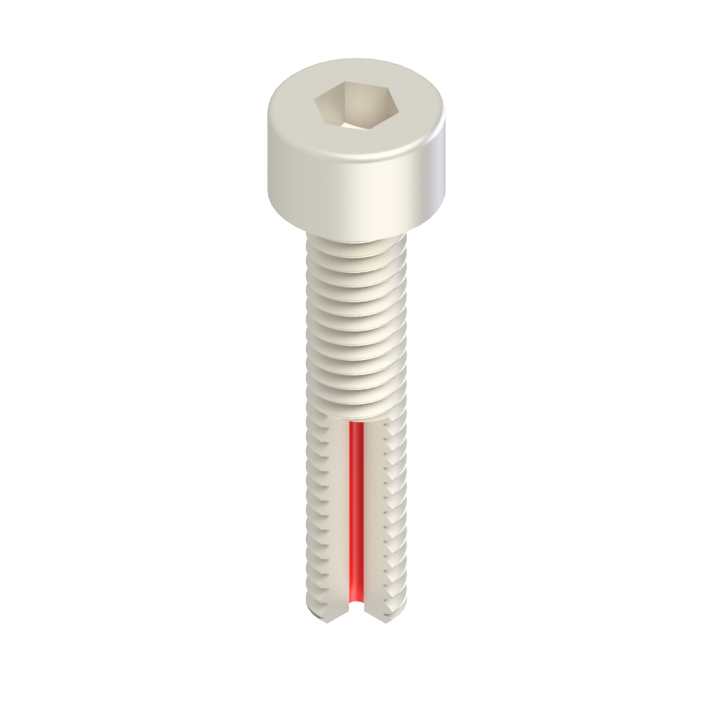 Vented silver coated screw A2 with head cap and hexagon socket / pack of 10